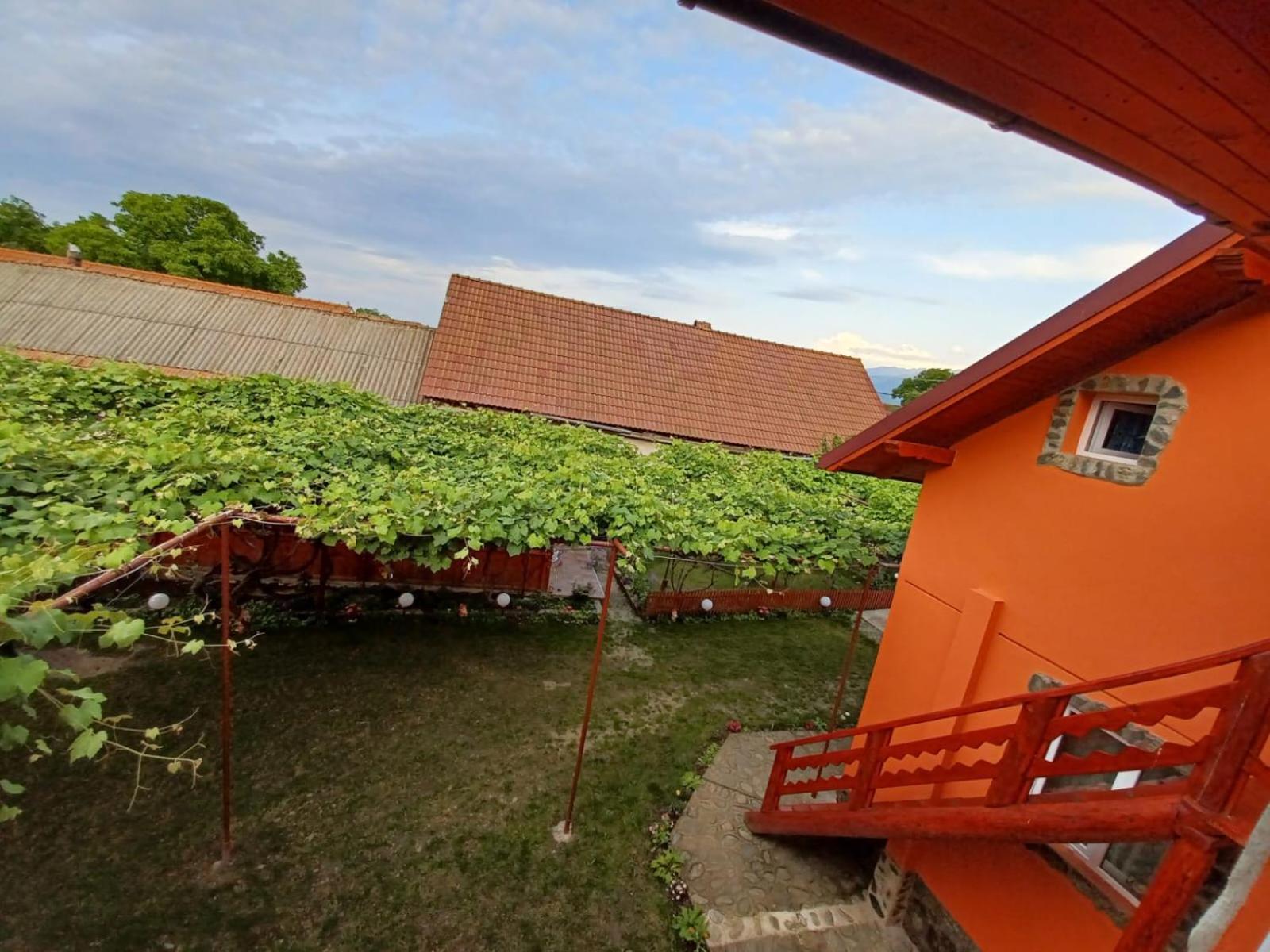 Casa Alex Hotel Cârțișoara Exterior photo